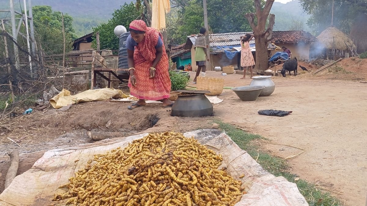 ऑर्गेनिक हल्दी