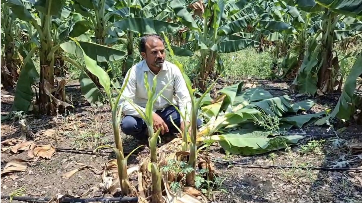 PHOTOS: जालना में ओलावृष्टि का कहर, बागवान को हुआ लाखों का नुकसान