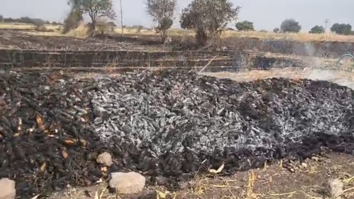 PHOTOS: शॉर्ट सर्किट से 300 क्विंटल मक्का जलकर राख, किसानों को भारी नुकसान