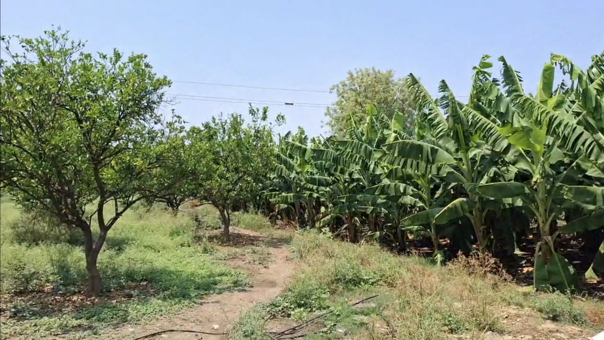 सरकार से मांग की है कि तुरंत नुकसान का पंचनामा करें