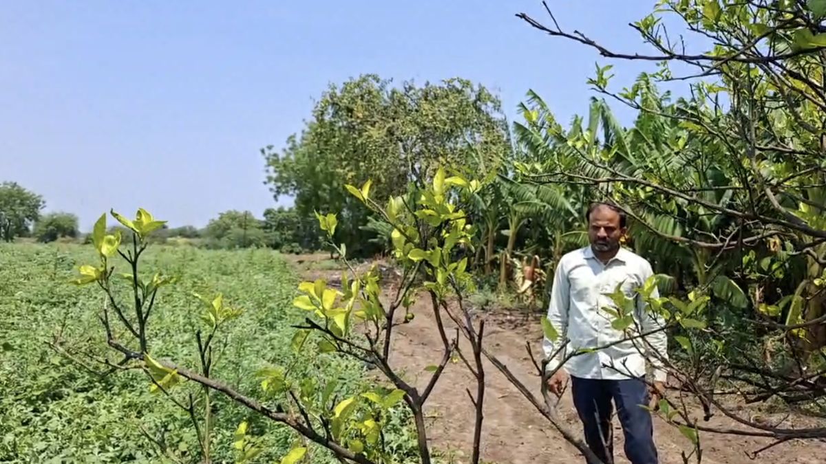 3 से 4 लाख रुपये की आय की उम्मीद