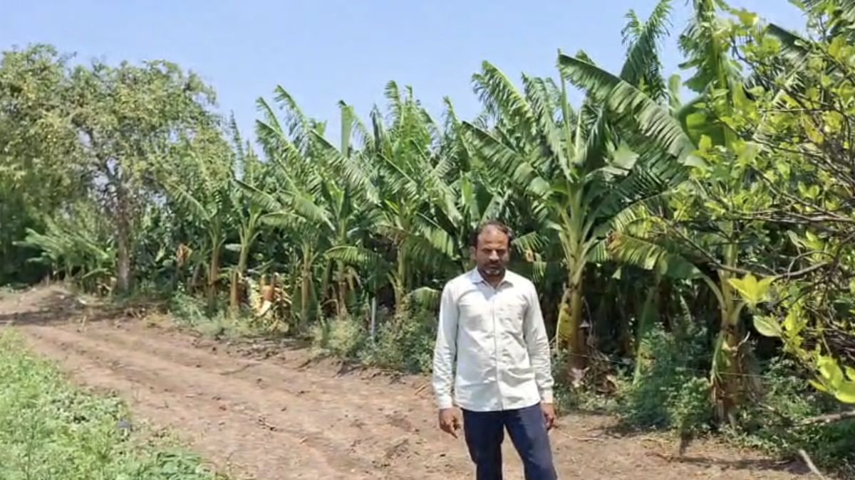 केले, तरबूज और मौसंबी की फसल को नुकसान