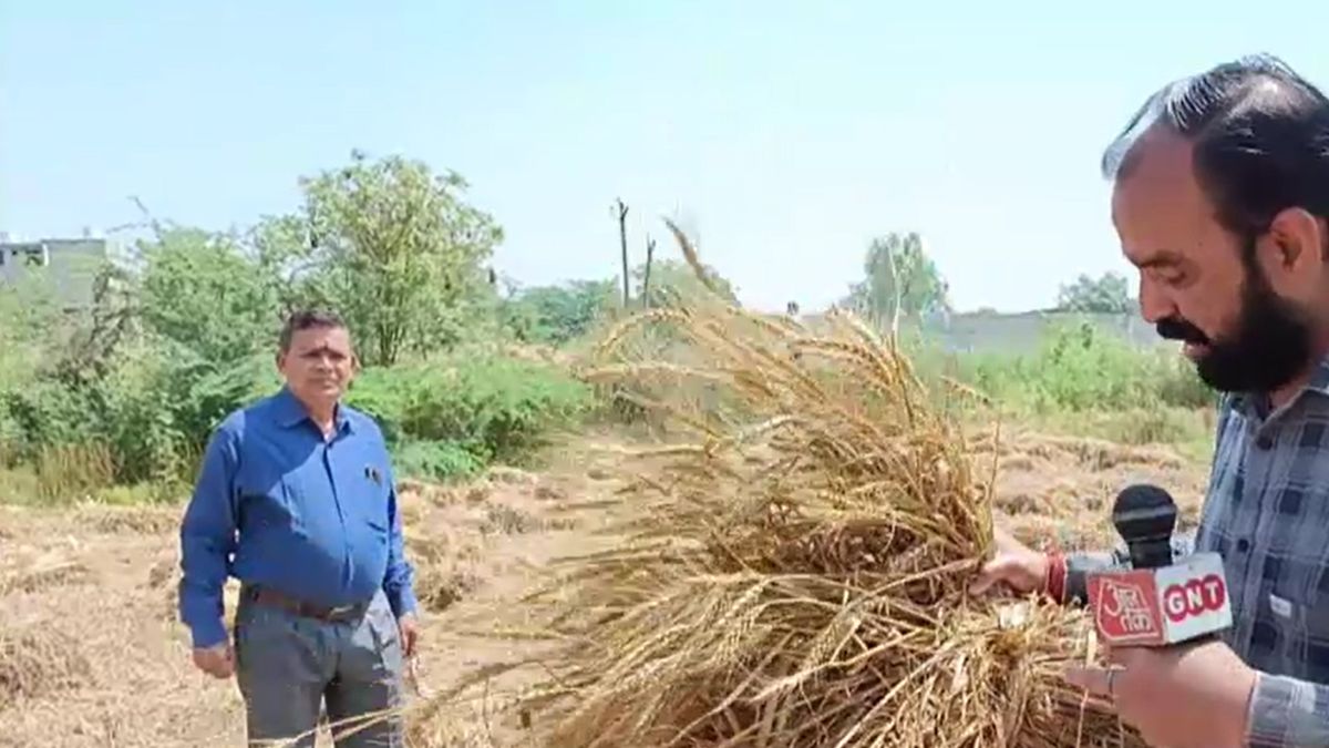 बेमौसम बारिश का कहर