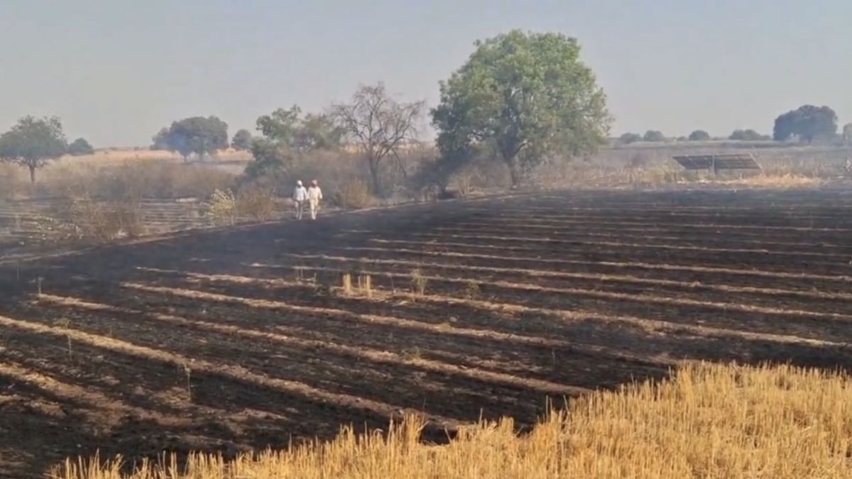 25 एकड़ में मक्के फसल में भीषण आग