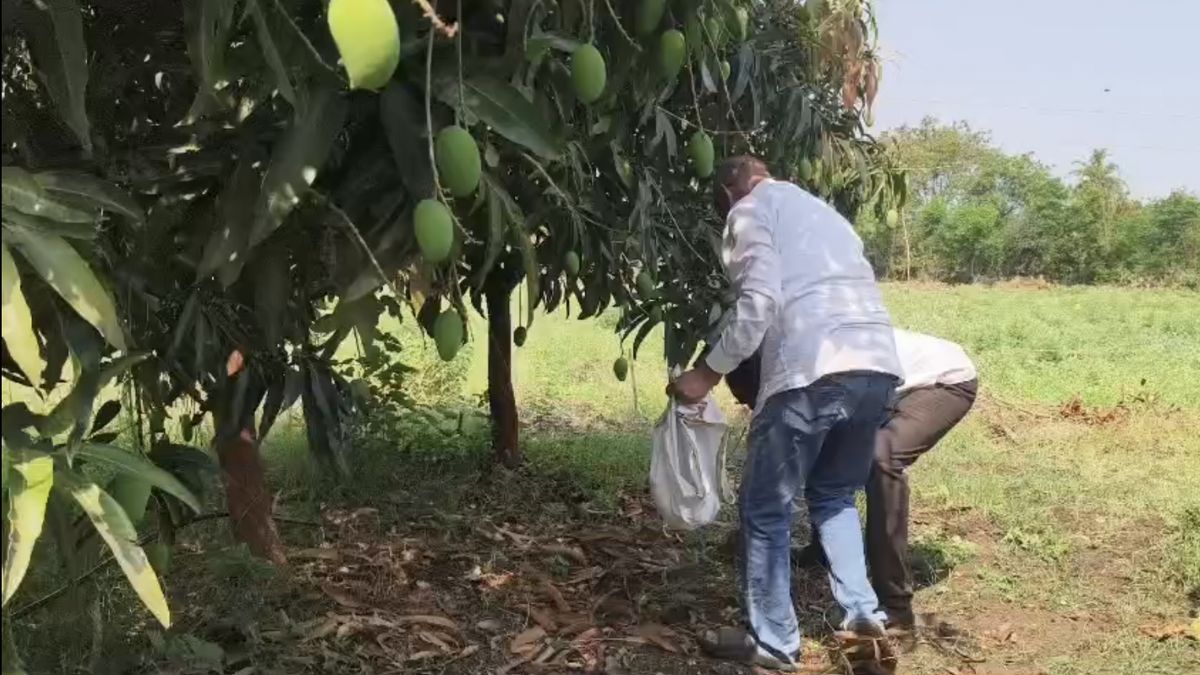 मौसम की मार ने तोड़ी किसानों की कमर