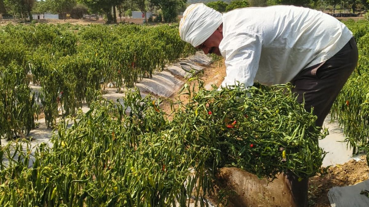 मराठवाड़ा क्षेत्र में गहराया जलसंकट