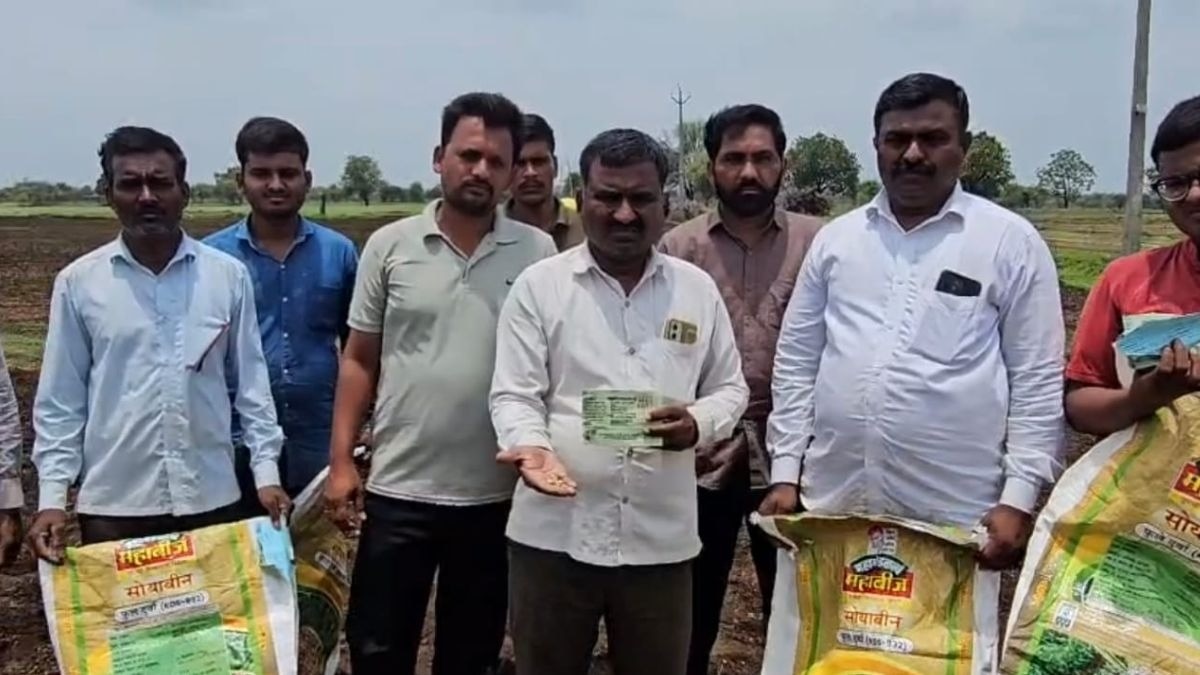 PHOTOS: मुफ्त सोयाबीन बीज बने मुसीबत, फसल अंकुरित नहीं होने से किसानों को लाखों का नुकसान