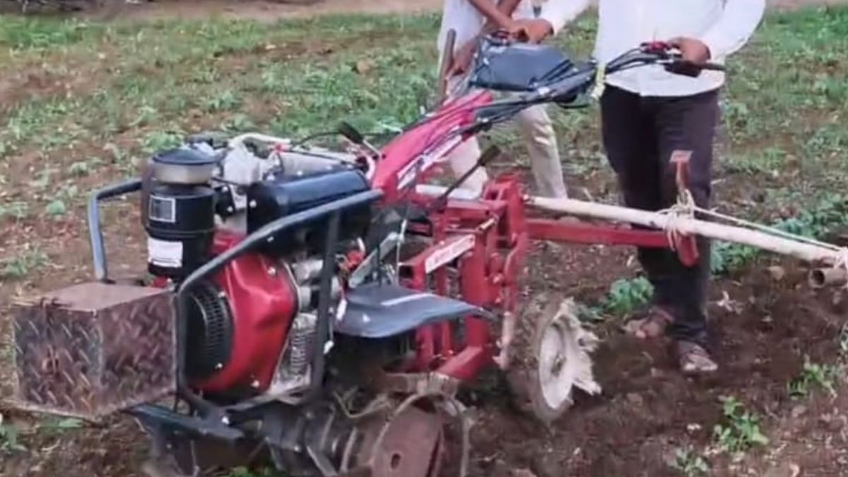 पौधों की अच्छे से हो रही बढ़वार