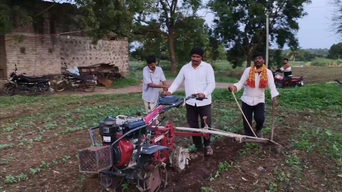 बैलों की संख्या में आई कमी
