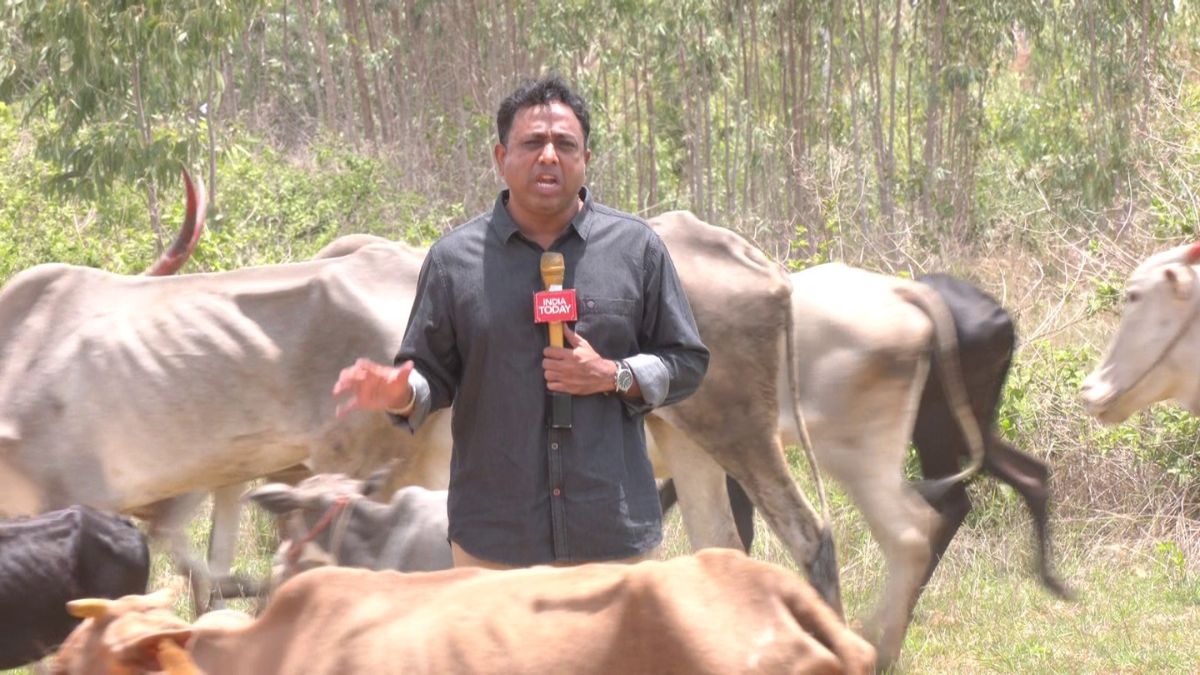 बुआई का रकबा बेहद कम