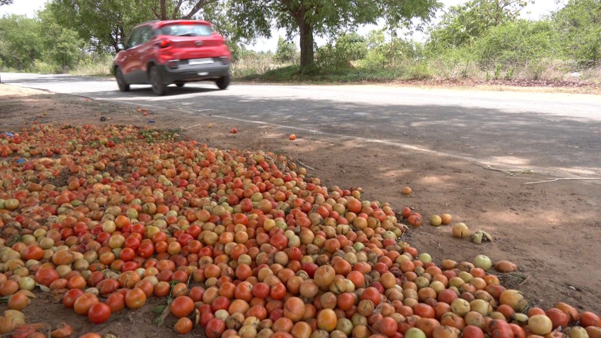 बारिश पर निर्भर है खेती