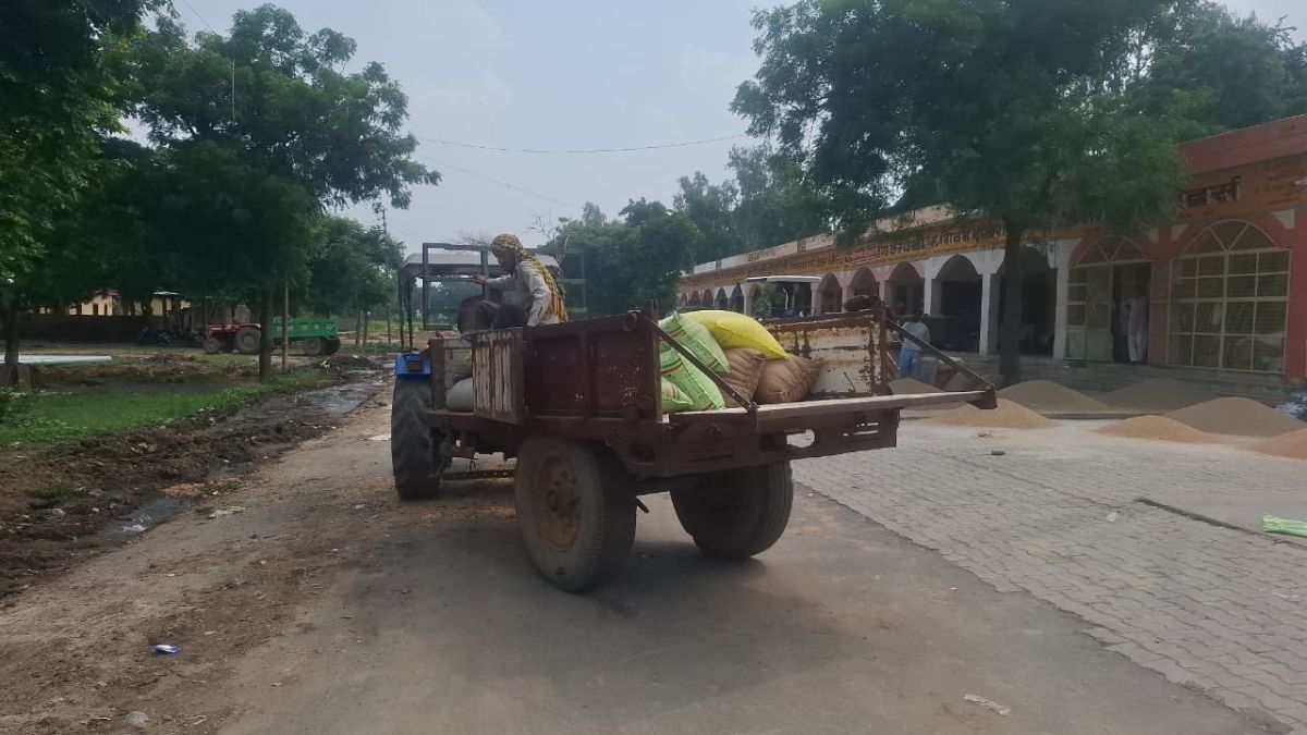 यूपी की मंडियों में बढ़ रहा e-NAM से कारोबार