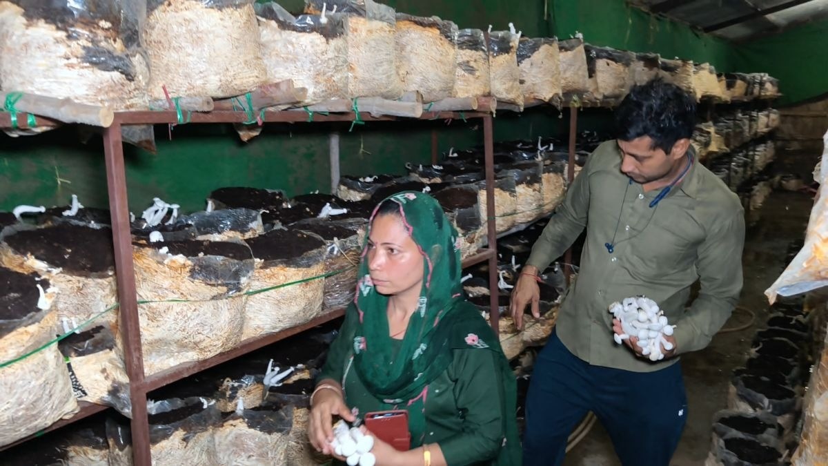 मशरूम लेडी