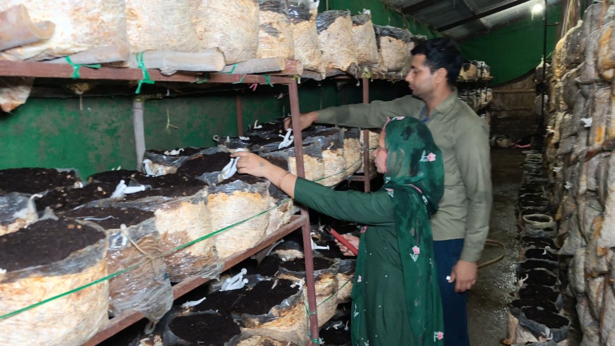 रोजाना 40 से 50 किलो तक उत्पादन