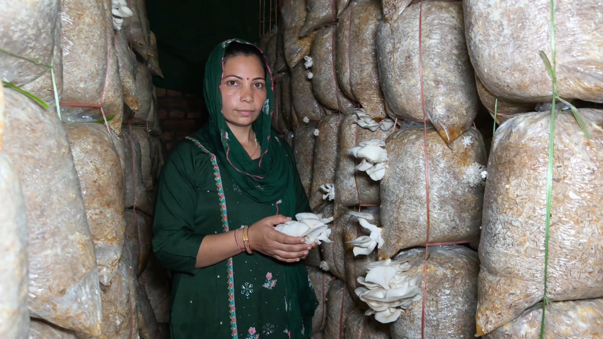 एक यूनिट से मिलता है चार चार महीने तक उत्पादन