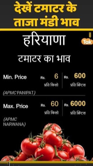 टमाटर के ताजा मंडी भाव