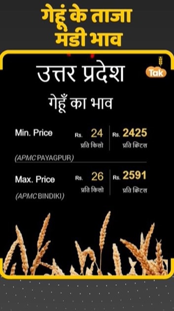 गेहूं के ताजा मंडी भाव