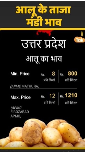 आलू के ताजा मंडी भाव