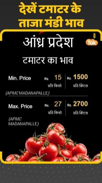 टमाटर के ताजा मंडी भाव