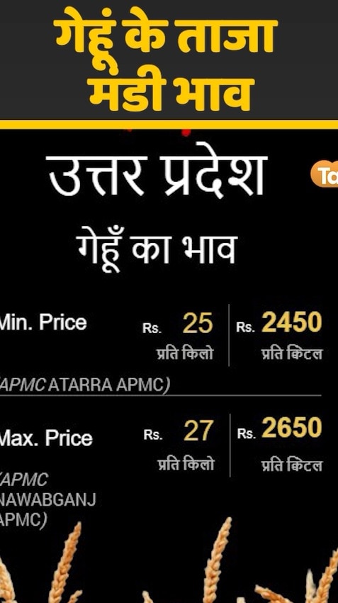 wheat mandi rates