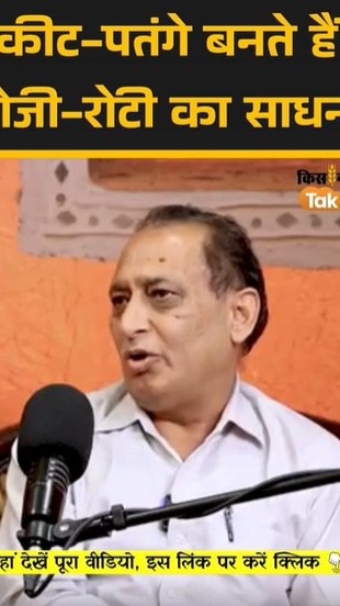 कीट-पतंगे