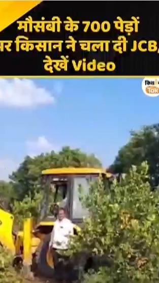 मौसंबी की 700 पेड़ों पर किसान ने चला दी JCB