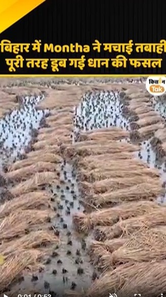 डूब गई धान की फसल