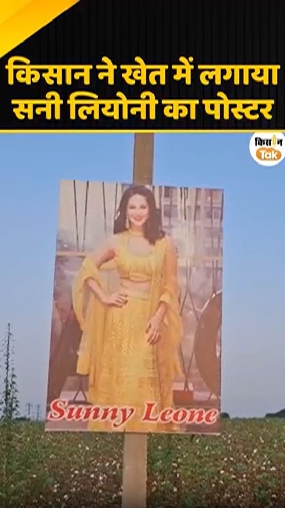 Sunny Leone cutout 