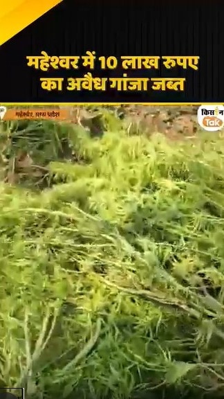 अवैध गांजा जब्त