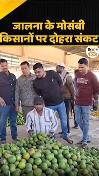 मौसंबी किसानों पर दोहरा संकट