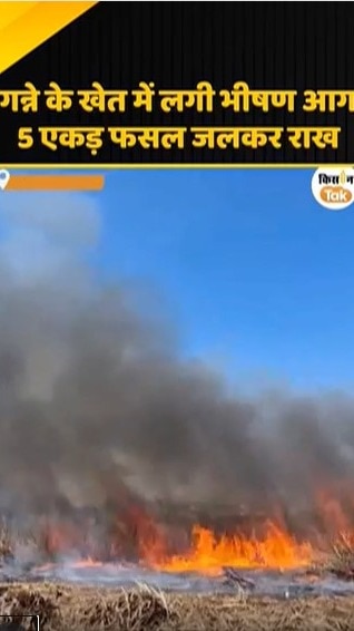गन्ने के खेत में लगी भीषण आग