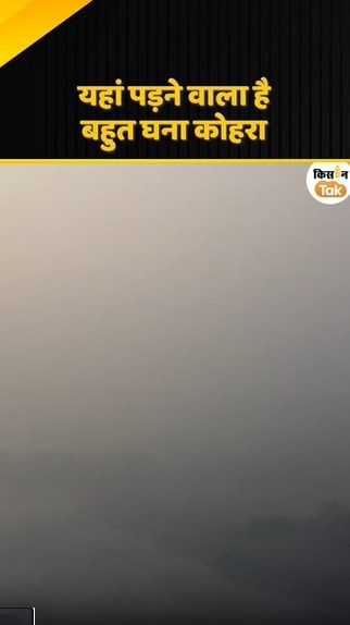 बहुत घना कोहरा