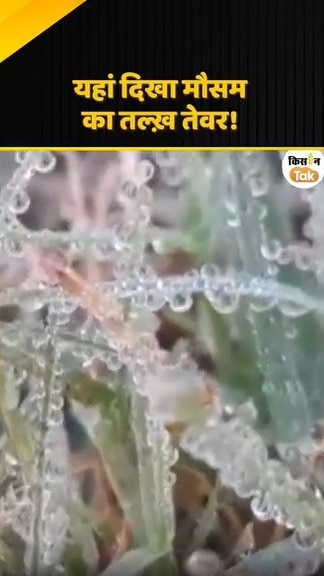 मौसम का तल्ख तेवर