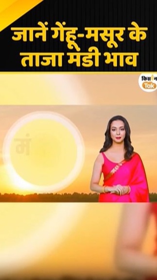 गेहूं-मसूर के ताजा मंडी भाव