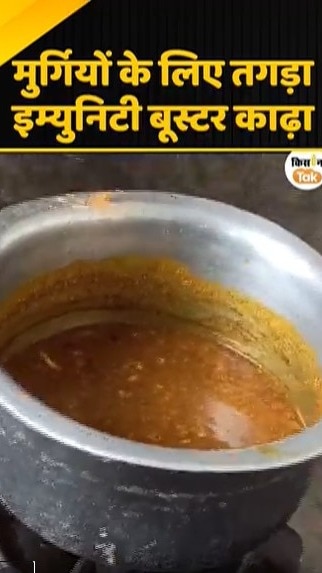 मुर्गियों के लिए तगड़ा इम्युनिटी बूस्टर काढ़ा