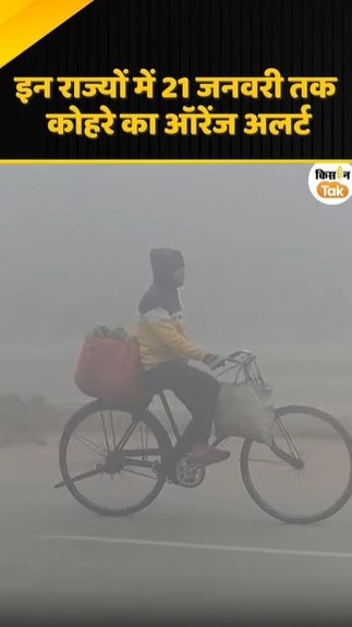 कोहरे का ऑरेंज अलर्ट