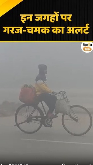 गरज-चमक का अलर्ट