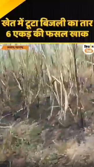 6 एकड़ की फसल खाक