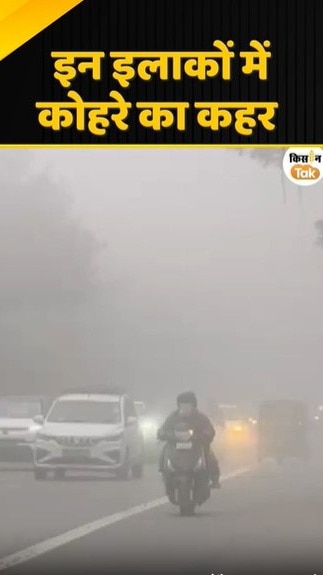 कोहरे का कहर