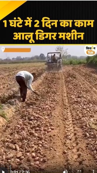 आलू डिगर मशीन
