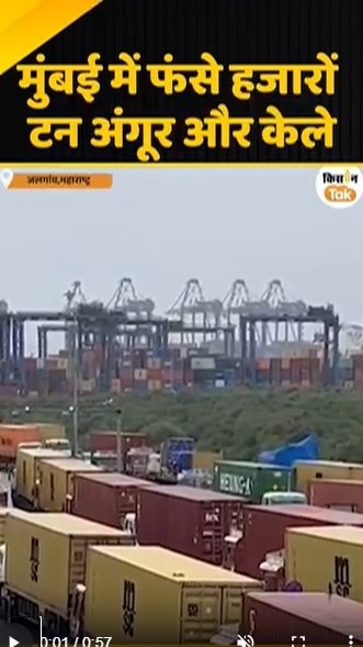 हजारों टन अंगूर और केला 