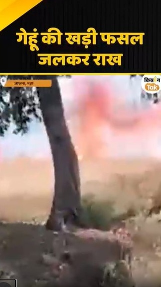 खड़ी फसल जलकर राख