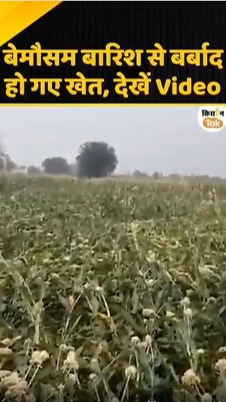 बारिश से बर्बाद हो गए खेत