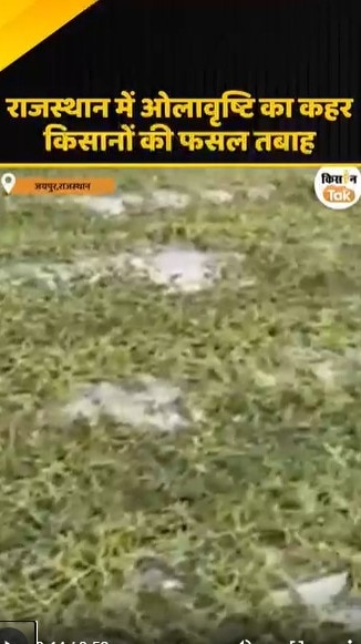 ओलावृष्टि का कहर