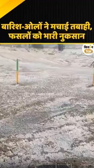 फसलों को भारी नुकसान