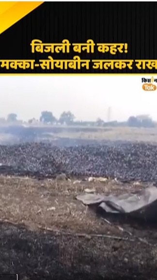 मक्का-सोयाबीन जलकर राख