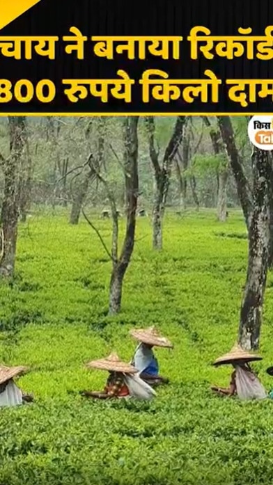 assam tea