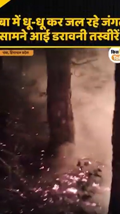 forest fire