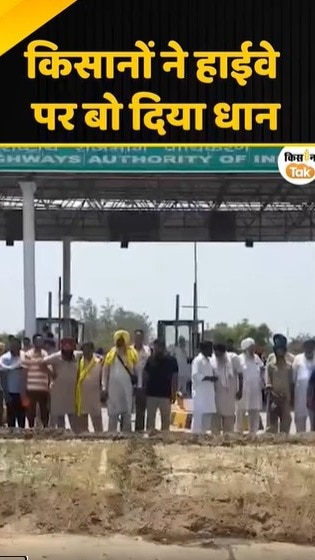 धान बो दिए