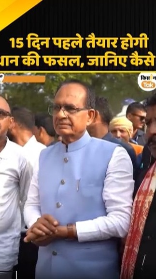 धान की फसल